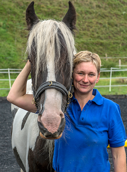 pferdetraining-michael-geitner-schweiz